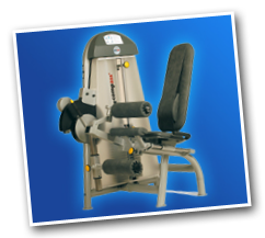 Beinbeuger und Strecker